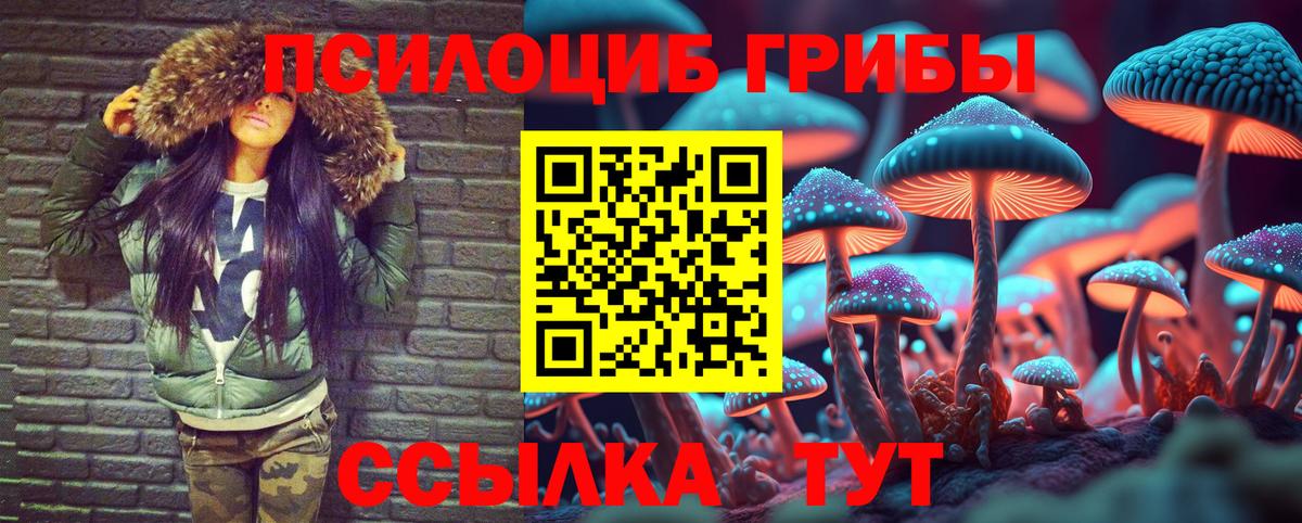 Псилоцибиновые грибы MAGIC MUSHROOMS  Вход с VPN  Дальнегорск  Псилоцибиновые грибы ЛСД 