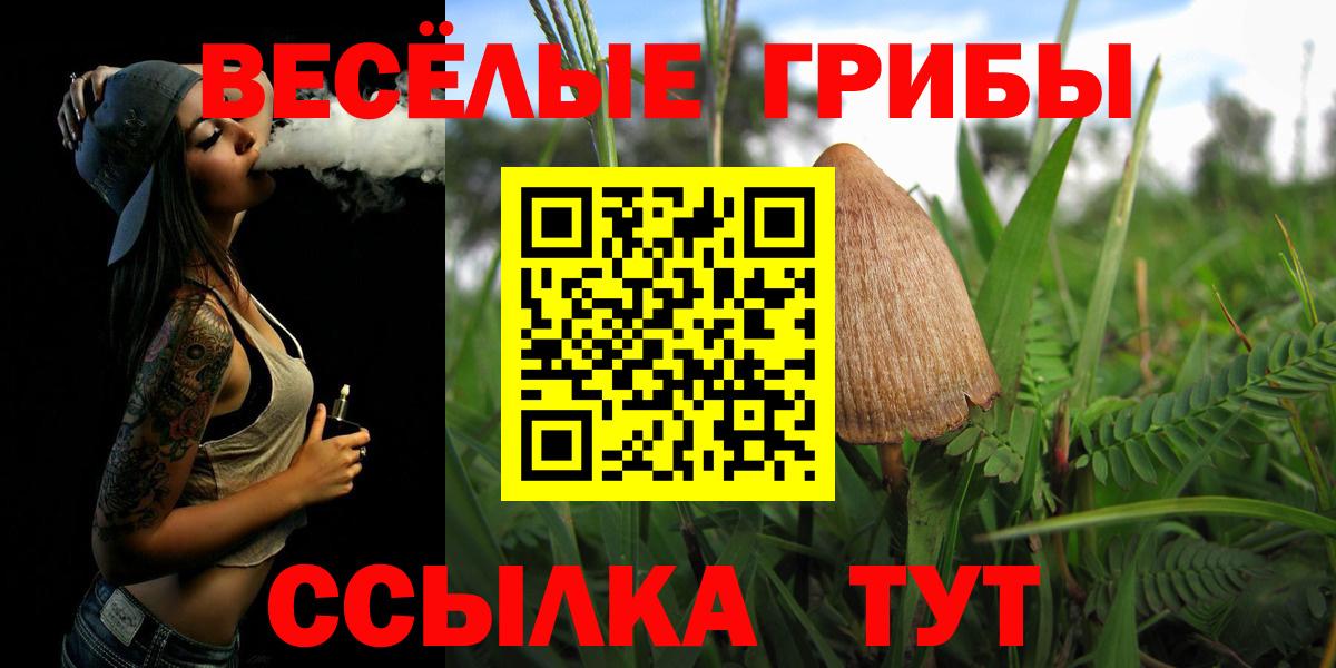 Галлюциногенные грибы мухоморы Дальнегорск
